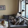 Free Sofa- please read Image 4