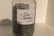 Dream Herb - Calea Zacatechichi  (40 grams, dried leaf)