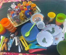 Free Children's Cups / Plates Utensils/ Ice Cream containers.
