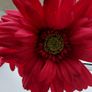 Artificial Flowers Image 4