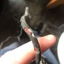 laney footswitch untested! Image 3