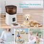 MYPIN 6L WiFi Cat Food Dispenser - Automatic Feeder With Timer, 1080P HD Video, Night Vision, 10s Voice Recording - Up to 20 Portions 12 Meals Per Day Image 2