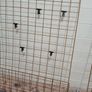 Wall Grid Image 2