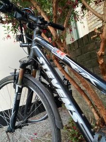 Bike Adult Shimano Gear