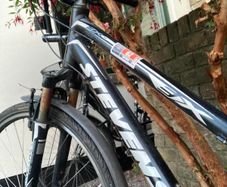 Bike Adult Shimano Gear