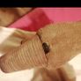 boots Ugg Image 4