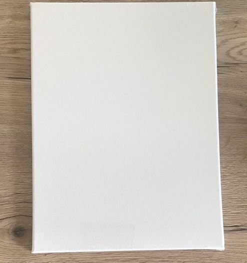 Bundle of 3 Brand New Canvases