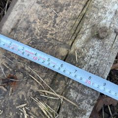 Greenheart wood hardwood beam/timber