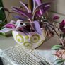 House plants Image 10