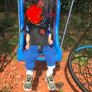 Special Needs Swing Image 2