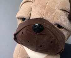 Dog teddy