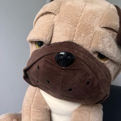 Dog teddy