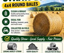 4x4 Barley Straw