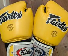 Fairtex 10oz Gloves