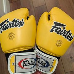 Fairtex 10oz Gloves