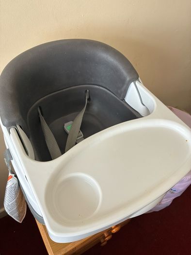 Baby Ingenuity seat