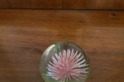 Glass paper weights