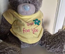Me to you teddy