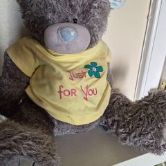 Me to you teddy
