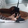 New Leopard Runners Image 8