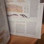 Introducing Tectonics, Rock Structures and Mountain Belts (Introducing Earth.(Paperback) Image 7