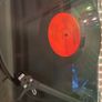The Jesus Lizard - Pure Image 2