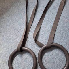 Exercise rings gym