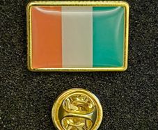 Irish flag ,  pin back badge.