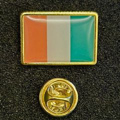 Irish flag ,  pin back badge.