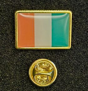 Irish flag ,  pin back badge.