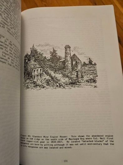 The Abandoned Mines Of West Carbery. Promoters Adventurers And Miners. By D. Cowman And T.a.reilly. First Edition Large Volume Paperback In Good Condition.  See Photos For Same.