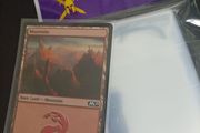 100 card sleeves