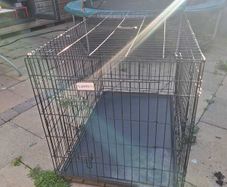 Dog Crate/Cage