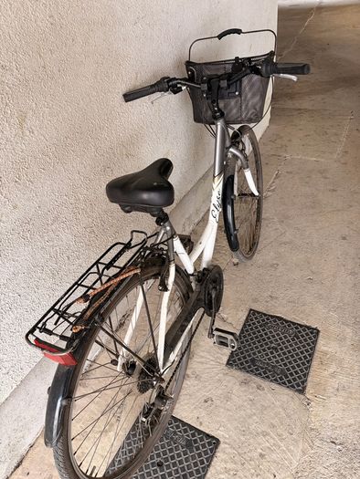 apollo elyse ladies bike