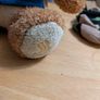Singapore airlines bear Image 5