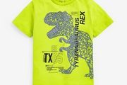 Next Dino Tshirt Age 9 yrs