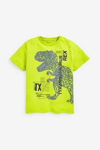 Next Dino Tshirt Age 9 yrs
