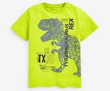 Next Dino Tshirt Age 9 yrs