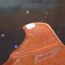 Denby Fire tableware Image 5