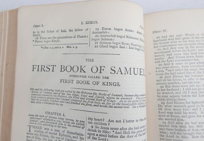 Vintage spine of a Catholic Douay Bible published by James Duffy & Co. Ltd. in Dublin.