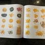 Larousse Gastronomique Cook Book. Image 6