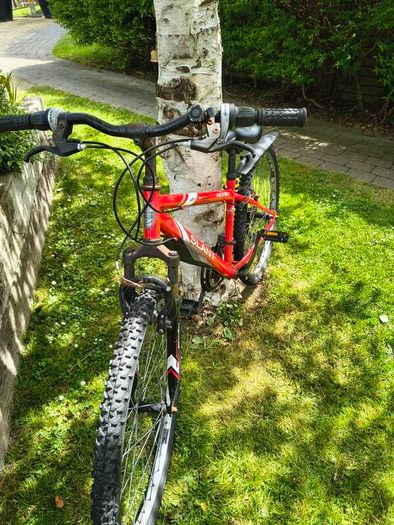 Free bike