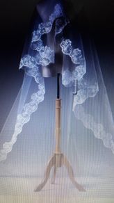 Long Chapel Length Bridal Veil