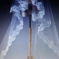 Long Chapel Length Bridal Veil