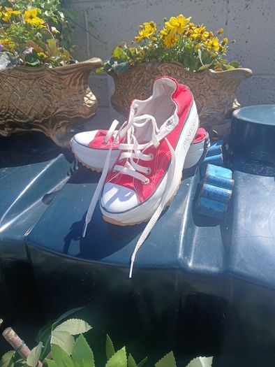 converse. Red size 5