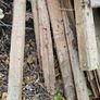 timber for burning mostly Image 2