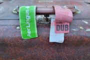 Fordite Vintage Travel Case With Aer Lingus Original Baggage Stickers