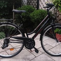 Dema Ladies Bike