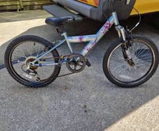 indi krypt kids mountain bike