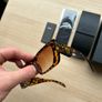 Prada Sunglasses Image 3